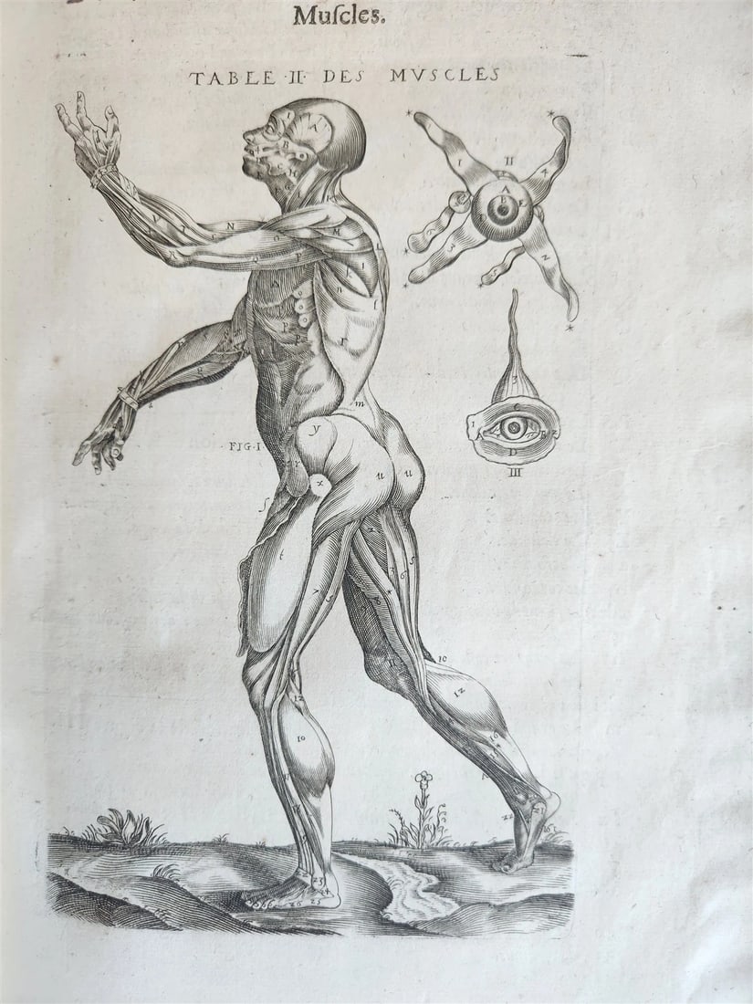 1646 ANATOMY ILLUSTRATED FOLIO antique MEDICAL Oeuvres de Me André dv Lavrens - 12