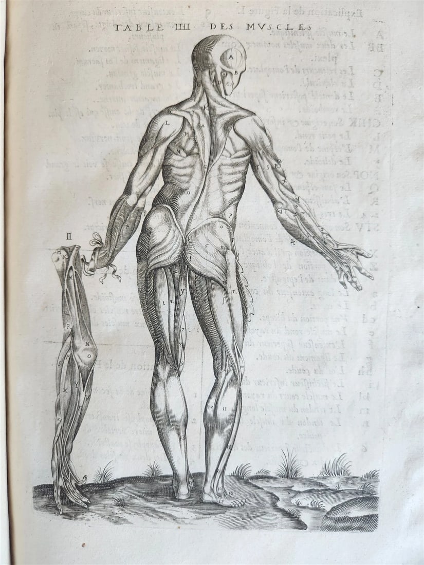 1646 ANATOMY ILLUSTRATED FOLIO antique MEDICAL Oeuvres de Me André dv Lavrens - 14