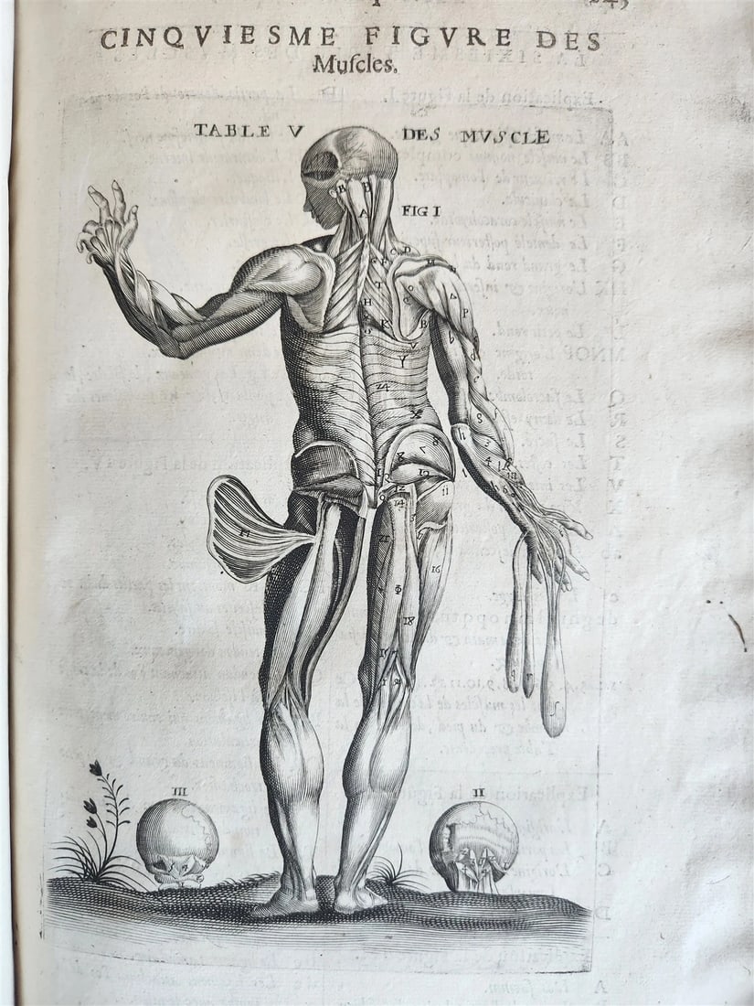 1646 ANATOMY ILLUSTRATED FOLIO antique MEDICAL Oeuvres de Me André dv Lavrens - 16