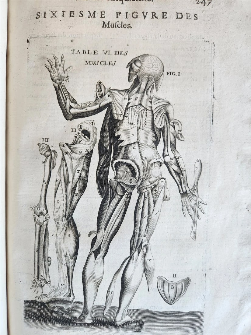 1646 ANATOMY ILLUSTRATED FOLIO antique MEDICAL Oeuvres de Me André dv Lavrens - 17