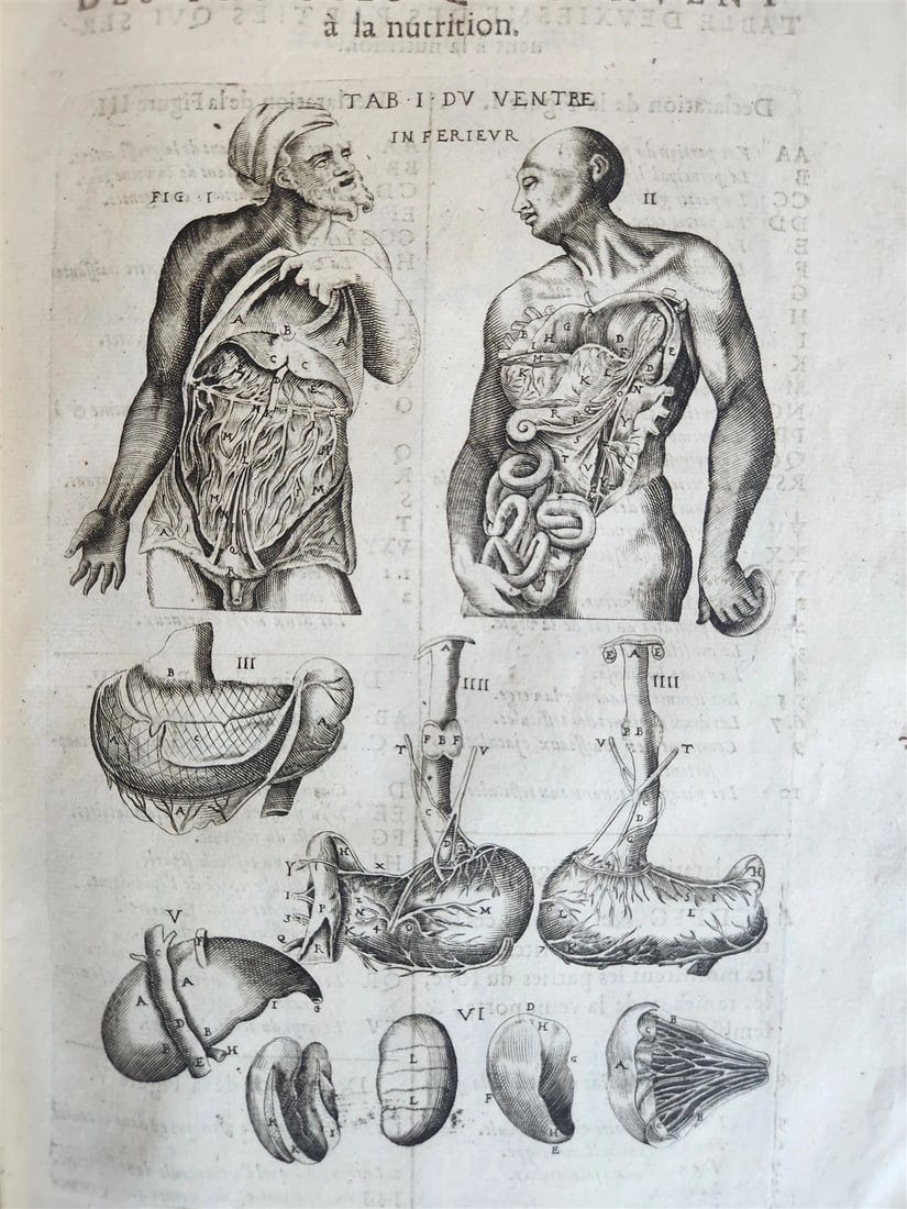1646 ANATOMY ILLUSTRATED FOLIO antique MEDICAL Oeuvres de Me André dv Lavrens - 18