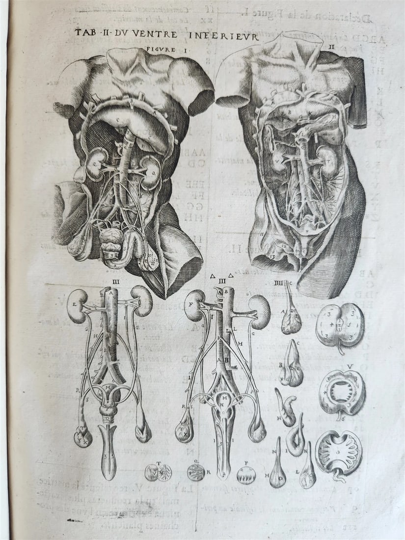 1646 ANATOMY ILLUSTRATED FOLIO antique MEDICAL Oeuvres de Me André dv Lavrens - 19