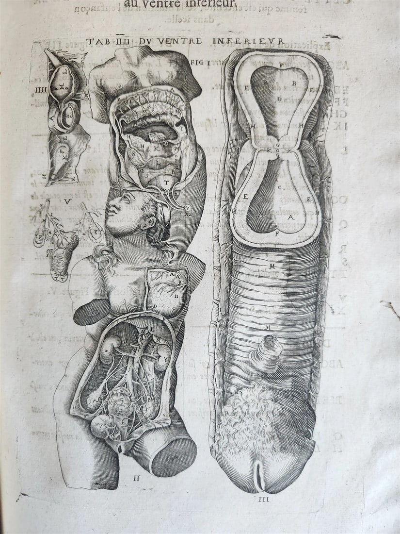 1646 ANATOMY ILLUSTRATED FOLIO antique MEDICAL Oeuvres de Me André dv Lavrens - 20