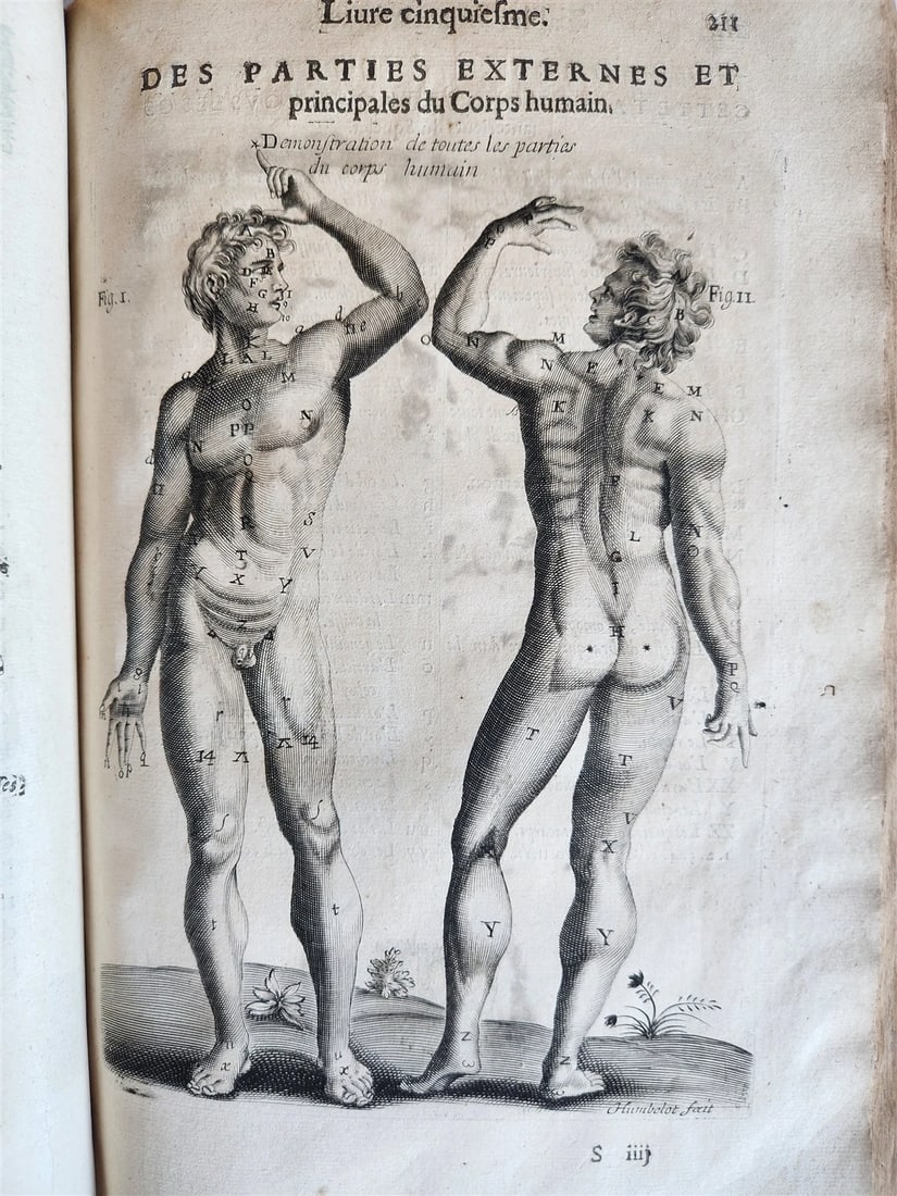 1646 ANATOMY ILLUSTRATED FOLIO antique MEDICAL Oeuvres de Me André dv Lavrens - 4