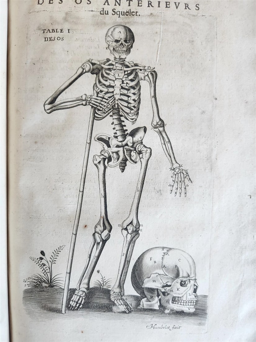 1646 ANATOMY ILLUSTRATED FOLIO antique MEDICAL Oeuvres de Me André dv Lavrens - 5