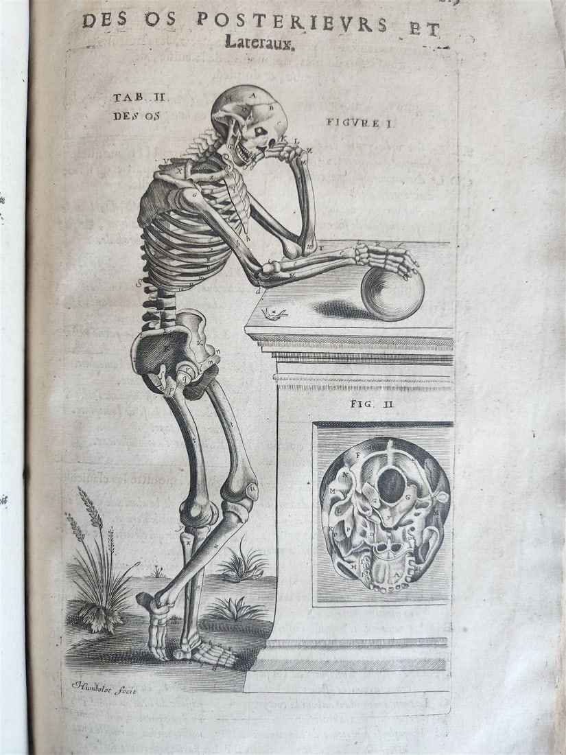 1646 ANATOMY ILLUSTRATED FOLIO antique MEDICAL Oeuvres de Me André dv Lavrens - 6