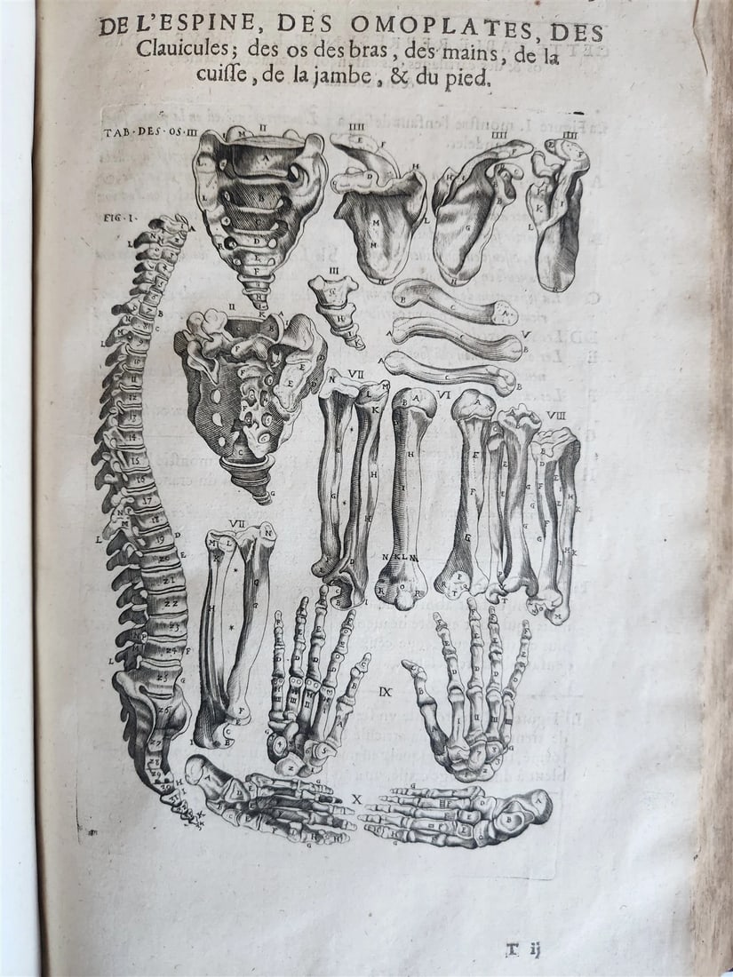 1646 ANATOMY ILLUSTRATED FOLIO antique MEDICAL Oeuvres de Me André dv Lavrens - 7