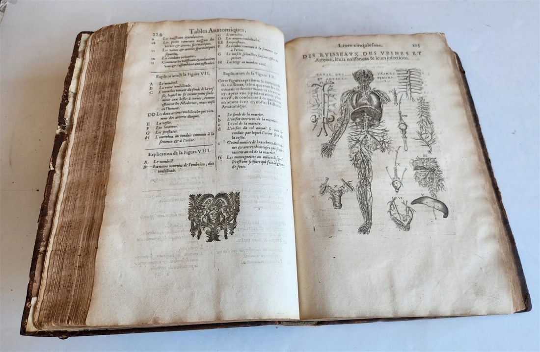1646 ANATOMY ILLUSTRATED FOLIO antique MEDICAL Oeuvres de Me André dv Lavrens - 8