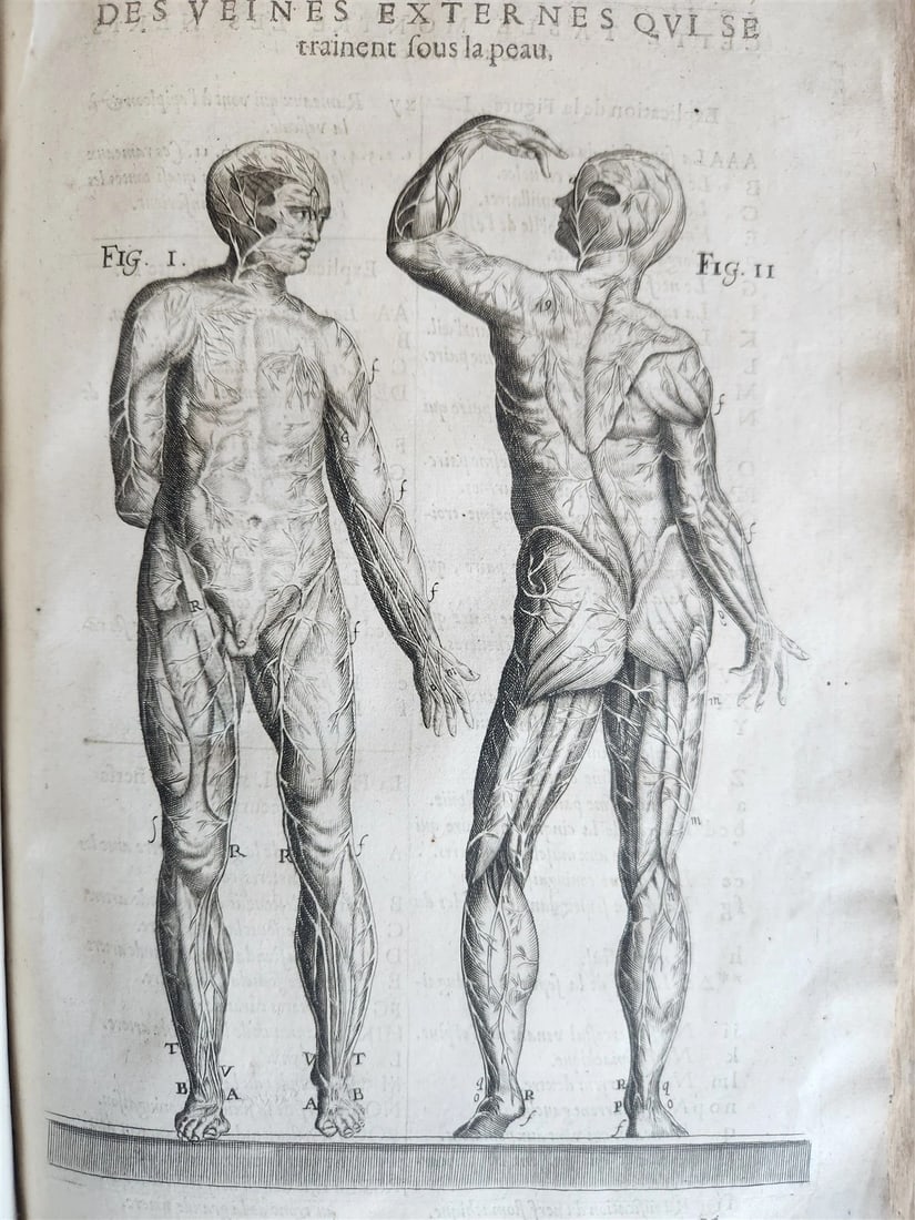 1646 ANATOMY ILLUSTRATED FOLIO antique MEDICAL Oeuvres de Me André dv Lavrens - 9