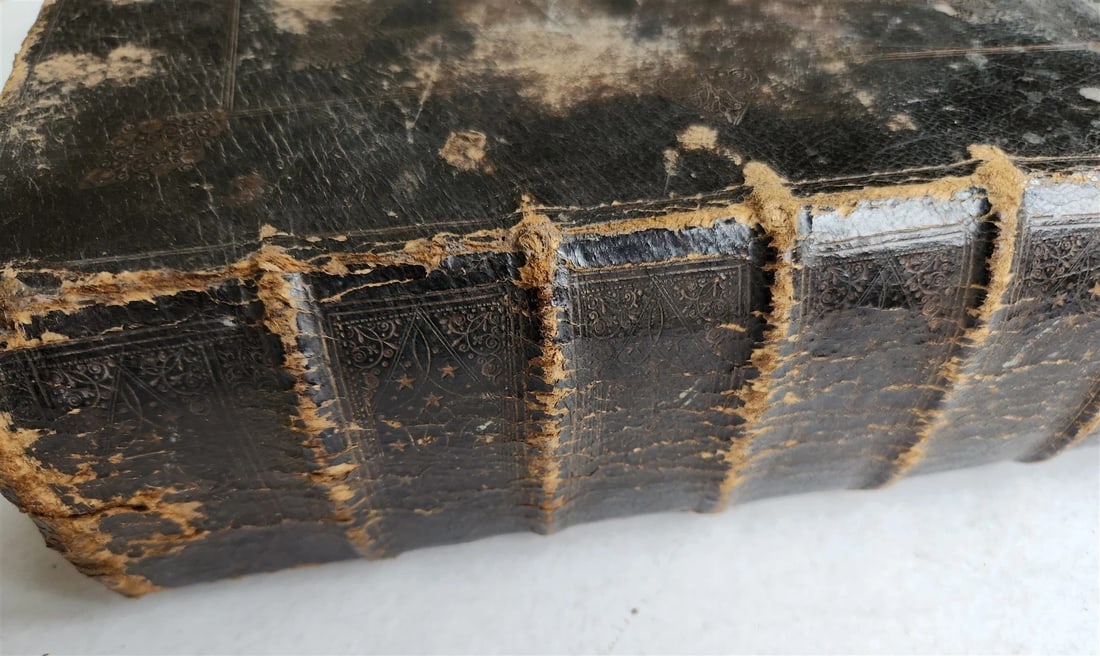 1697 BIBLE in ENGLISH antique OLD & NEW TESTAMENT by the University Printers - 15