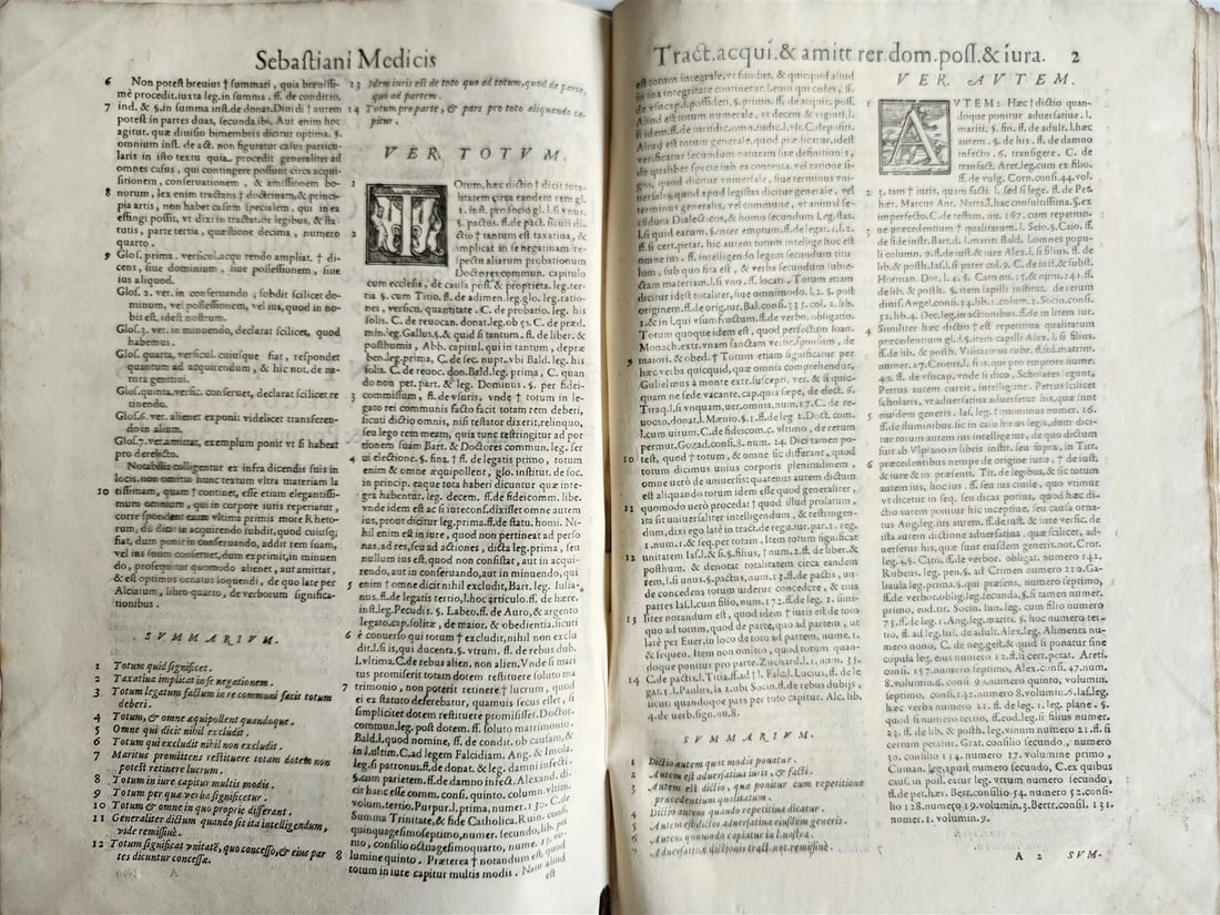 1586 CIVIL & CANON LAW BOOK antique S. MEDICI Tractatus 16th CENTURY FOLIO - 5