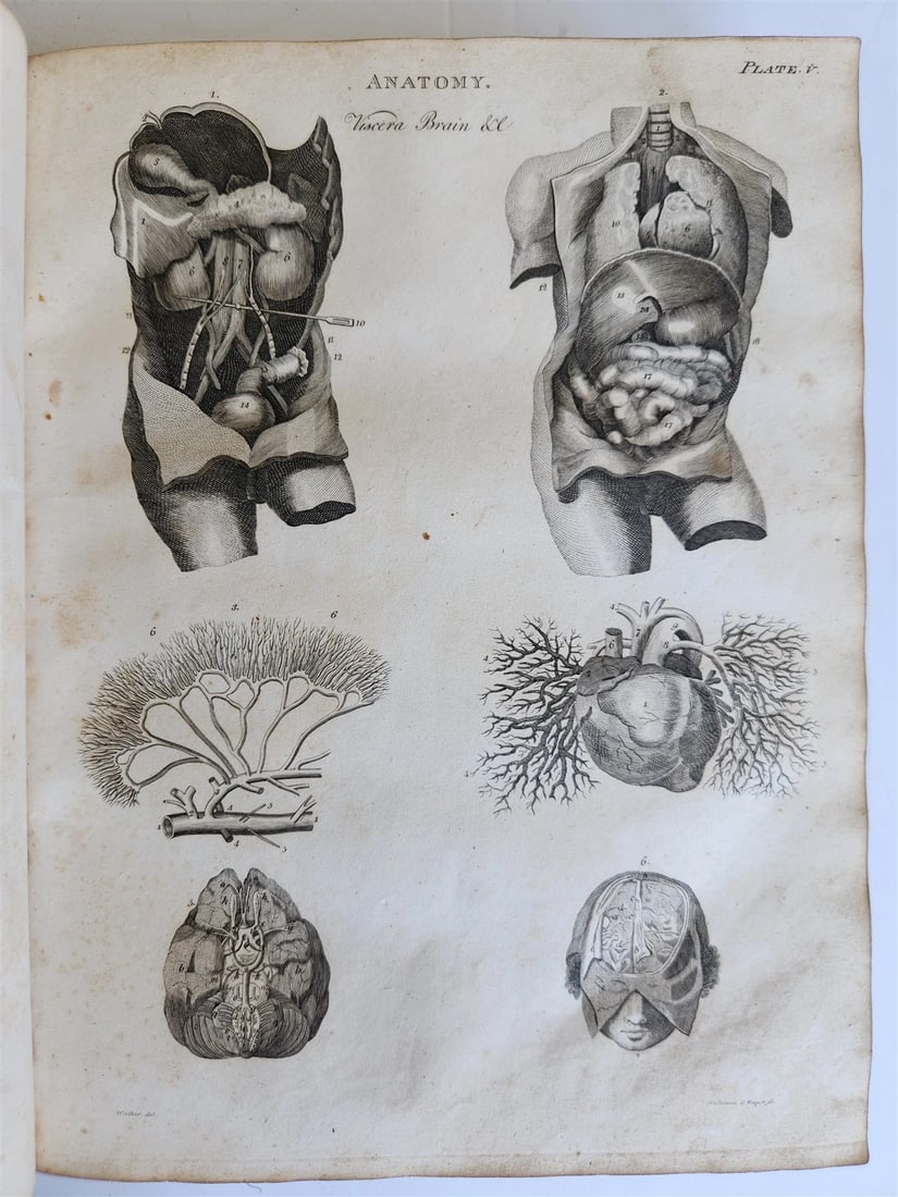 1822 NEW and COMPLETE DICTIONARY of ARTS and SCIENCES 2 VOLS. antique by GREGORY - 6