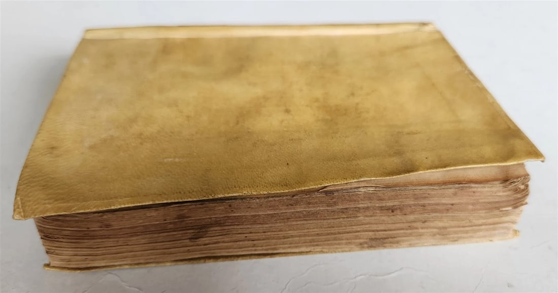 1584 Sannazaro's DE PARTU VIRGINIS POEM Commentary by Lazaro Cardona ANTIQUE - 4