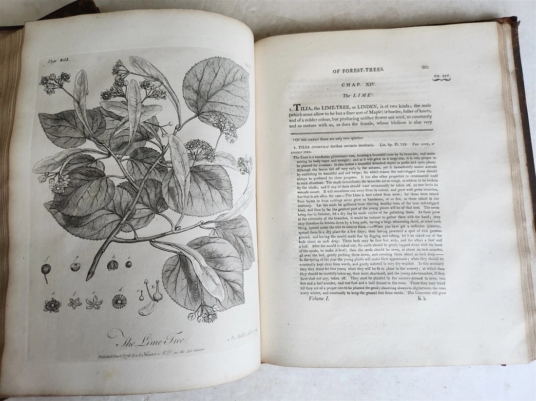 1801 SILVA: DISCOURSE OF FOREST TREES 2 VOLUMES ILLUSTRATED antique in ENGLISH - 4