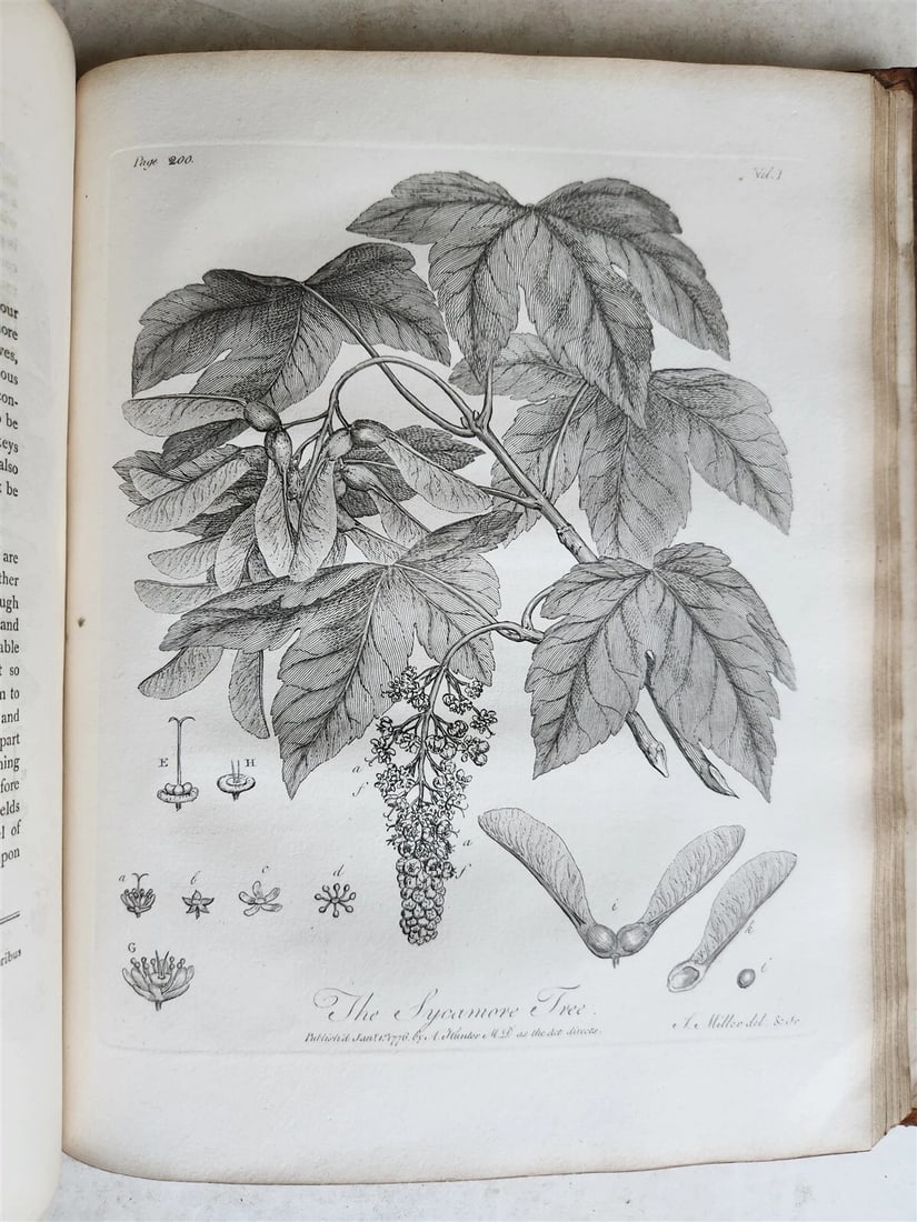 1801 SILVA: DISCOURSE OF FOREST TREES 2 VOLUMES ILLUSTRATED antique in ENGLISH - 5