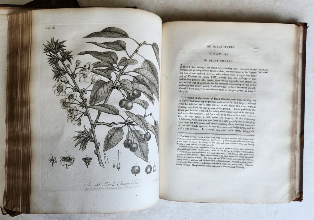 1801 SILVA: DISCOURSE OF FOREST TREES 2 VOLUMES ILLUSTRATED antique in ENGLISH - 7
