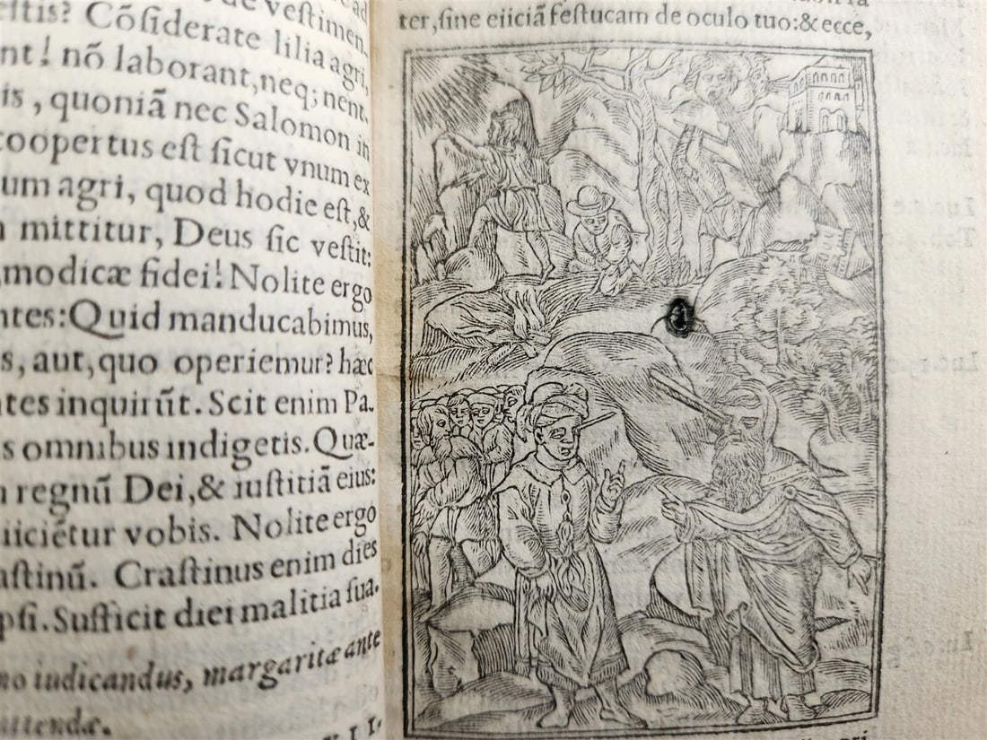 1548 BIBLE IN LATIN ILLUSTRATED antique 16th CENTURY NEW TESTAMENT rare - 10