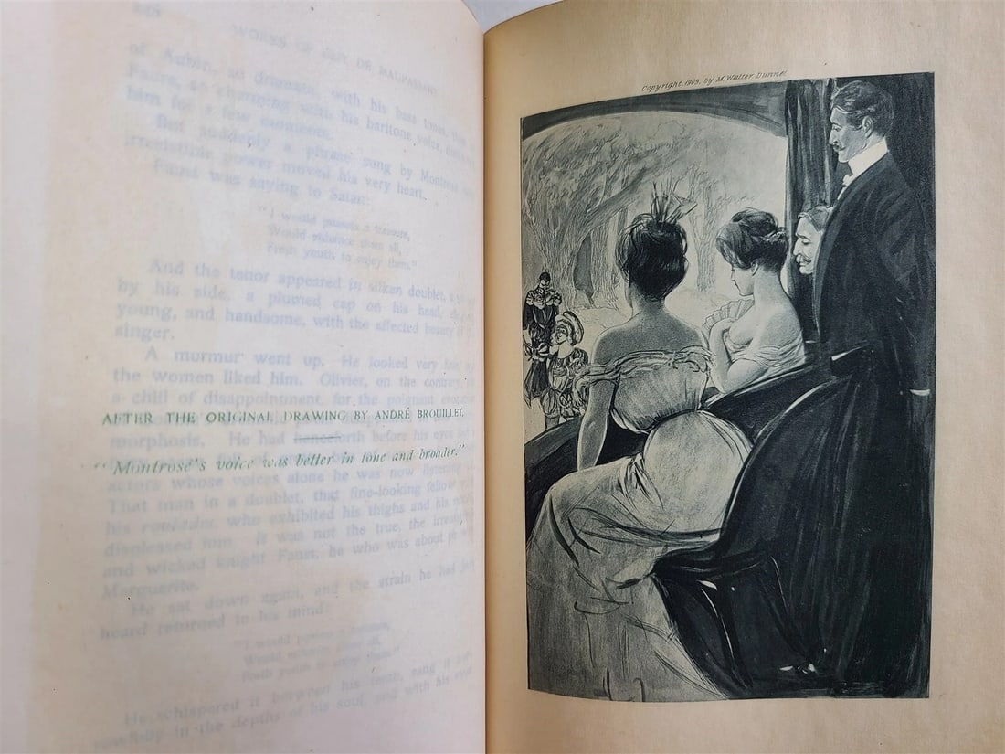 1903 WORKS of GUY De MAUPASSANT 17 VOLUMES antique ILLUSTRATED LTD ED in ENGLISH - 14