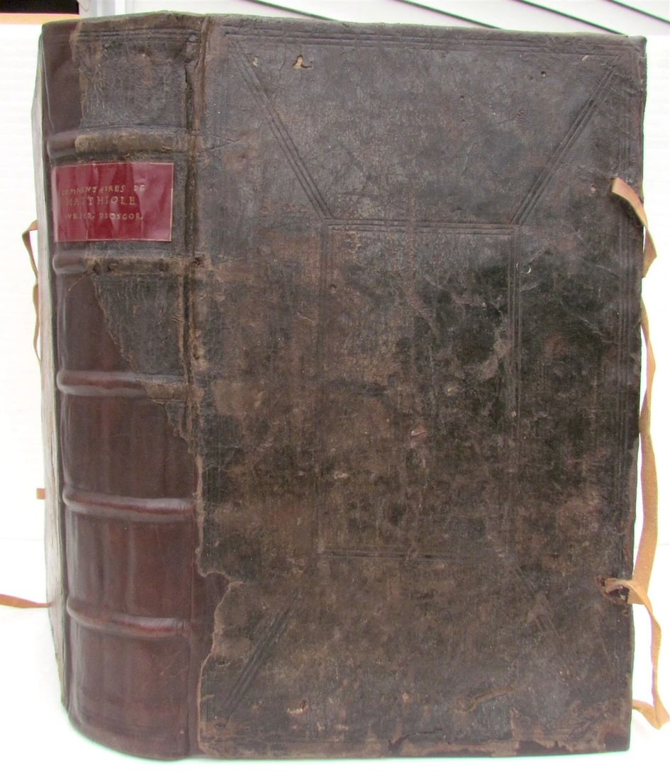 1579 MATTHIOLE COMMENTARIES ILLUSTRATED PLANTS ANIMALS antique 16th cent. FOLIO - 2