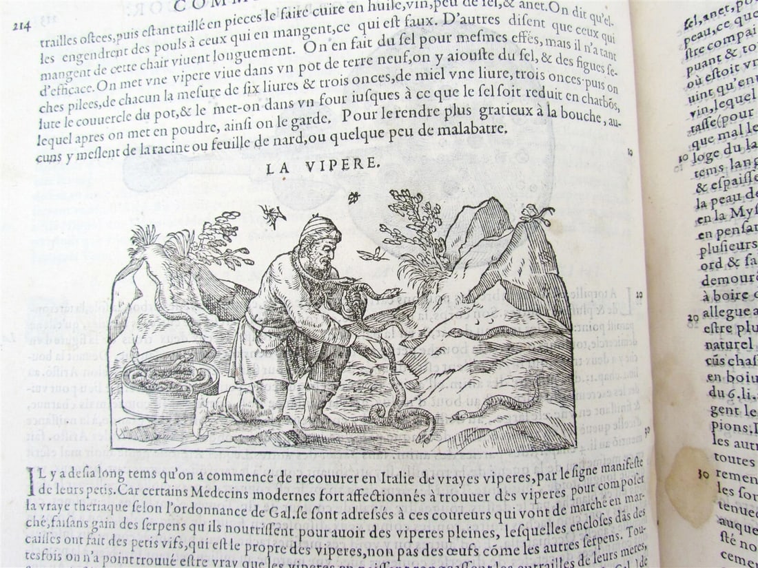 1579 MATTHIOLE COMMENTARIES ILLUSTRATED PLANTS ANIMALS antique 16th cent. FOLIO - 3