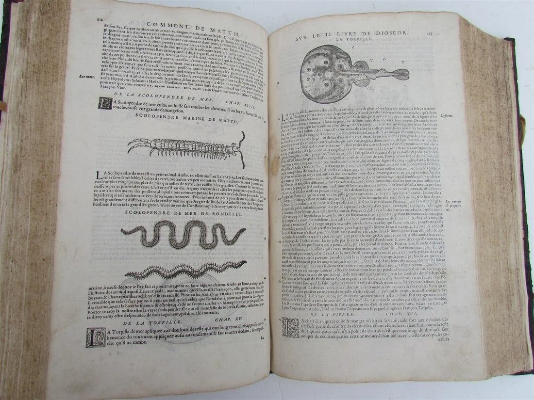 1579 MATTHIOLE COMMENTARIES ILLUSTRATED PLANTS ANIMALS antique 16th cent. FOLIO - 4
