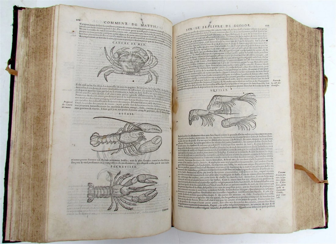1579 MATTHIOLE COMMENTARIES ILLUSTRATED PLANTS ANIMALS antique 16th cent. FOLIO - 5