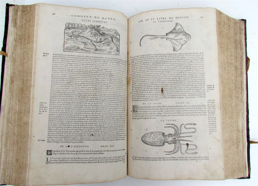1579 MATTHIOLE COMMENTARIES ILLUSTRATED PLANTS ANIMALS antique 16th cent. FOLIO - 8