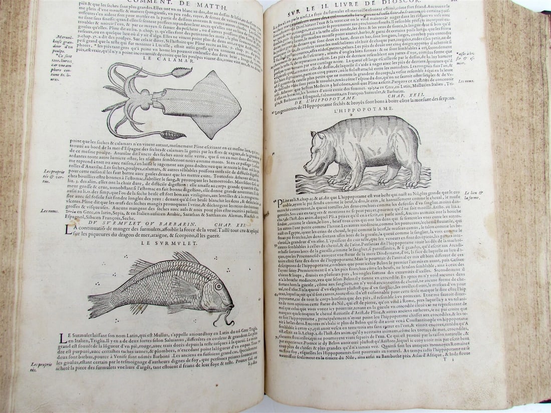 1579 MATTHIOLE COMMENTARIES ILLUSTRATED PLANTS ANIMALS antique 16th cent. FOLIO - 9