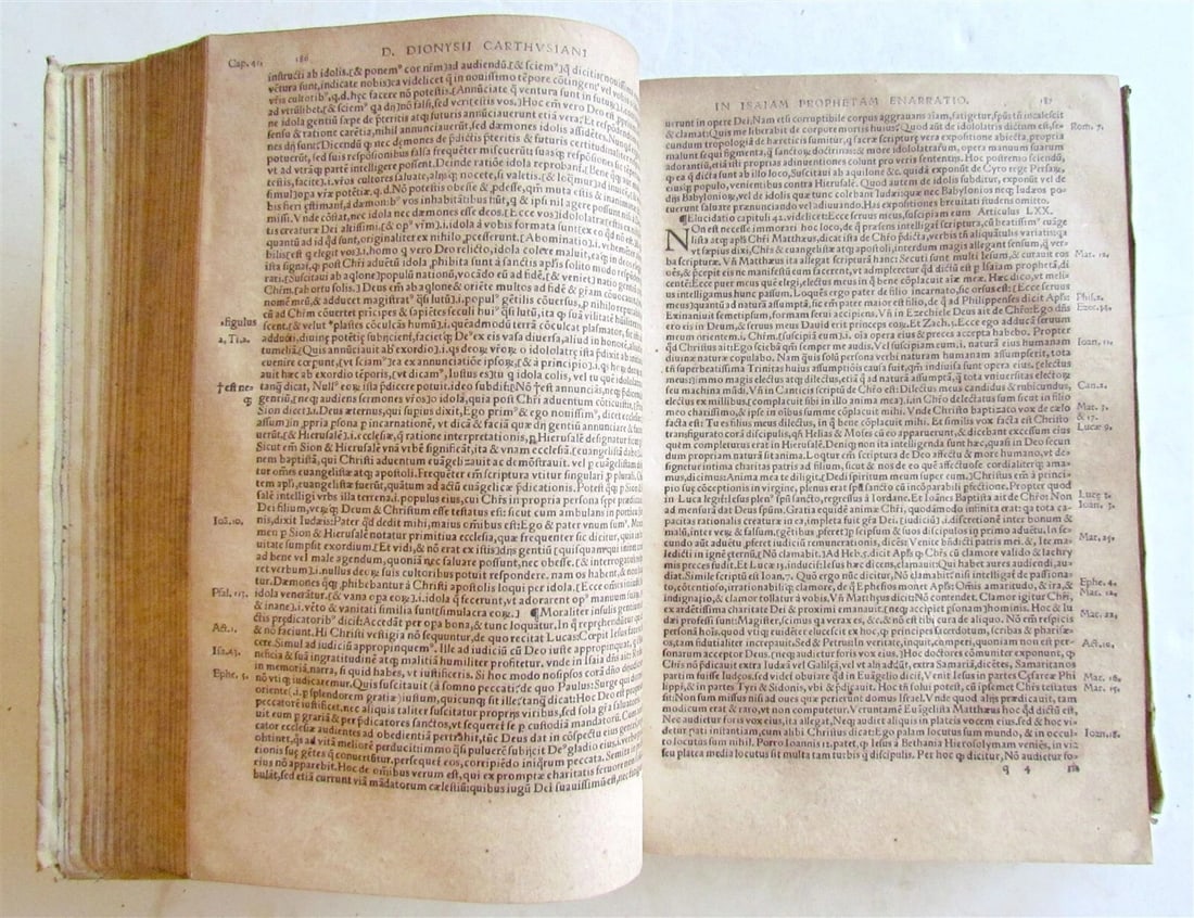 1548 Book of Prophets Commentaries by Dionysius Carthusian antique FOLIO vellum - 5