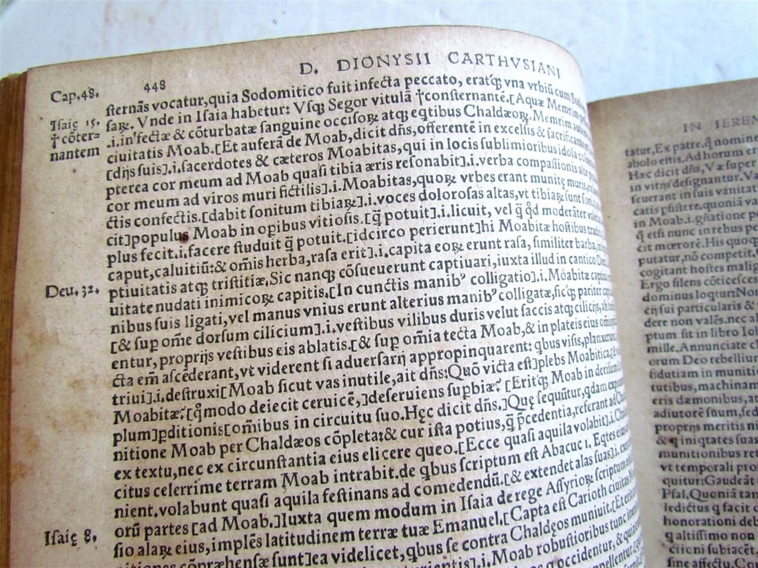 1548 Book of Prophets Commentaries by Dionysius Carthusian antique FOLIO vellum - 8