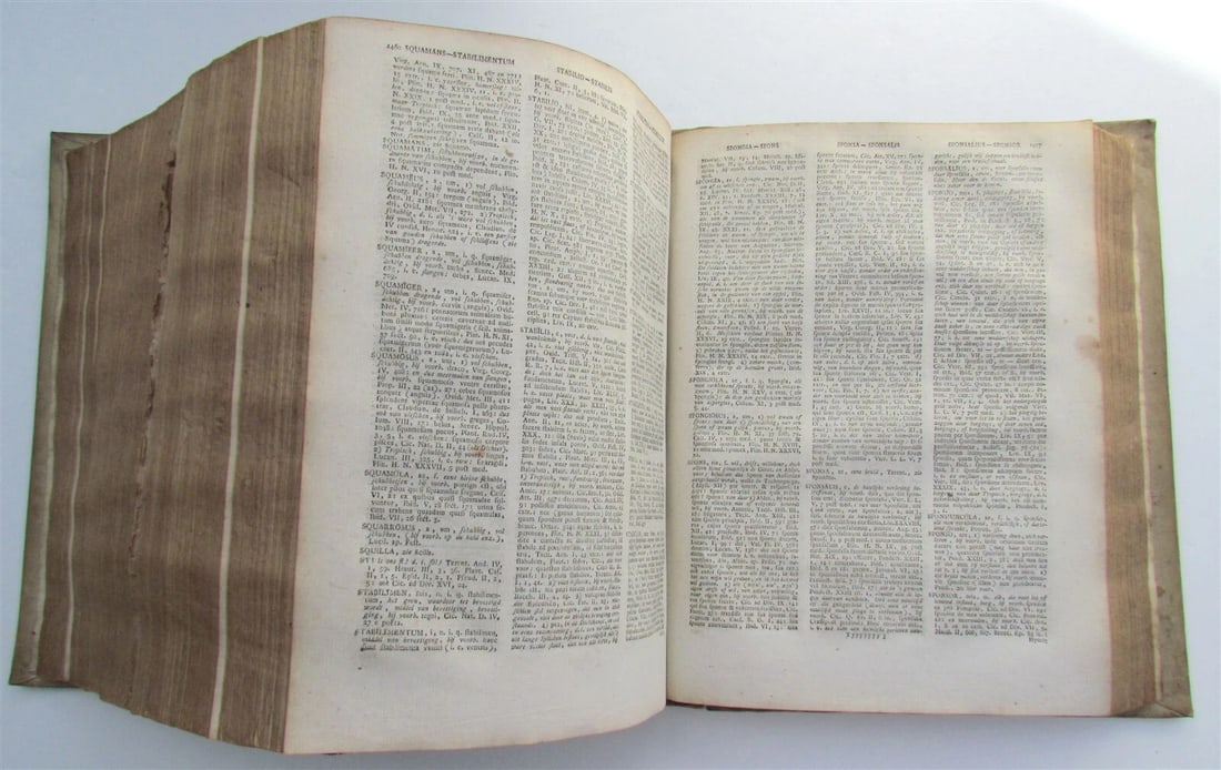 1799 Lexicon Latino-Belgicum by SCHELLERUS Amsterdam coat of arms VELLUM antique - 8