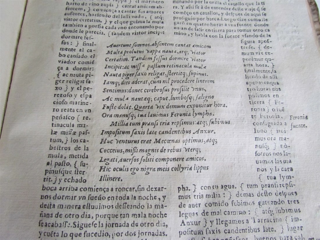 1599 HORACE WORKS in SPANISH antique POETRY VELLUM Q. HORATII FLACCI V.de Biedma - 6