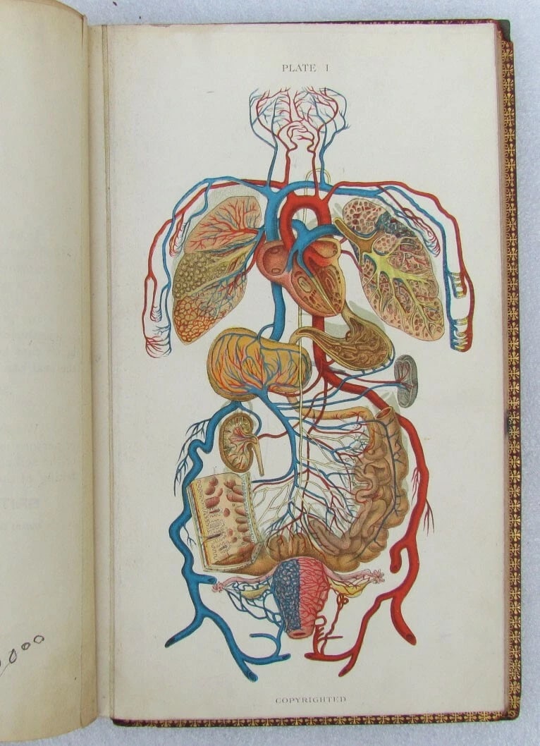 1909 GYNECOLOGICAL PLATES antique leather bound - 3