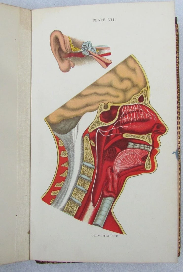 1909 GYNECOLOGICAL PLATES antique leather bound - 4