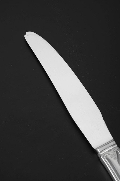 Georg Jensen, Denmark. Dinner knife in stainless steel and sterling silver. Produced after 1944. - 2