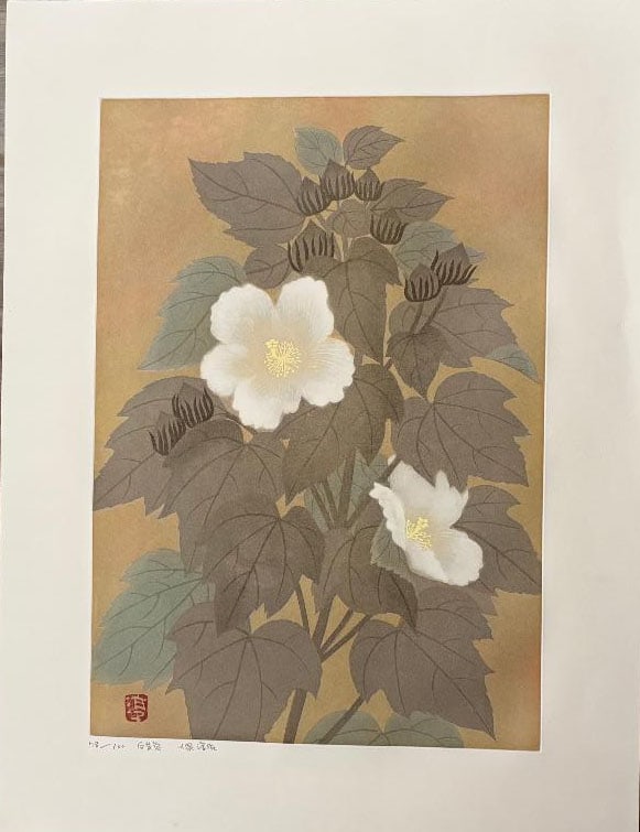 Jun Koizumi (1924 - 2012): White Hibiscus