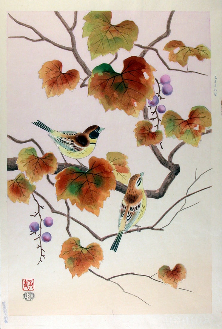 Shizuo ASHIKAGA (1917-91): Bunting and Fastia Japonica: Artist: Shizuo ASHIKAGA (1917-91) Title:Bunting and Fastia Japonica Publisher:Uchida (water-marked) Date:1950s Medium:Woodblock print Size/Format:dai-ôban (c. 17.5 x 12 inches) Reserve: $360.00