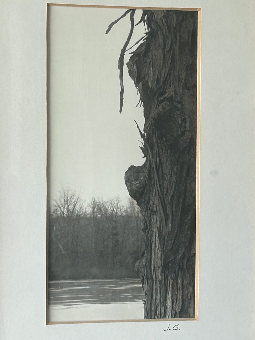Framed Black & White Photograph of Tree Trunk and River Landscape, Signed "J.S." - 2