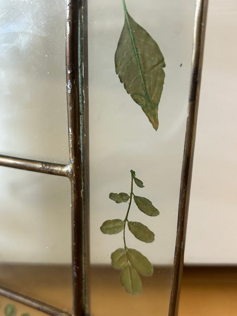 Pressed Botanical Specimen Stained Glass Panel - 2