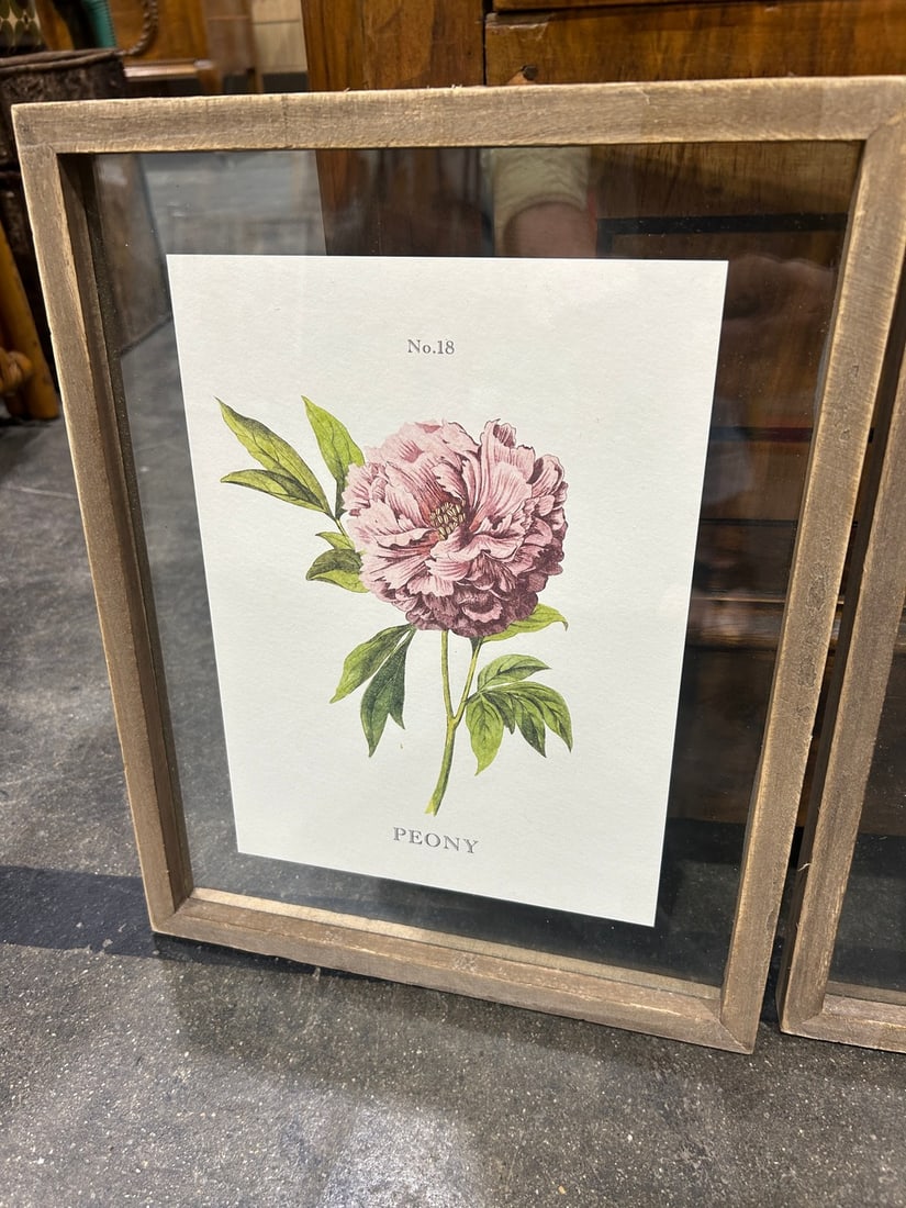 Pair of Framed Botanical Prints: Rose and Peony - 3