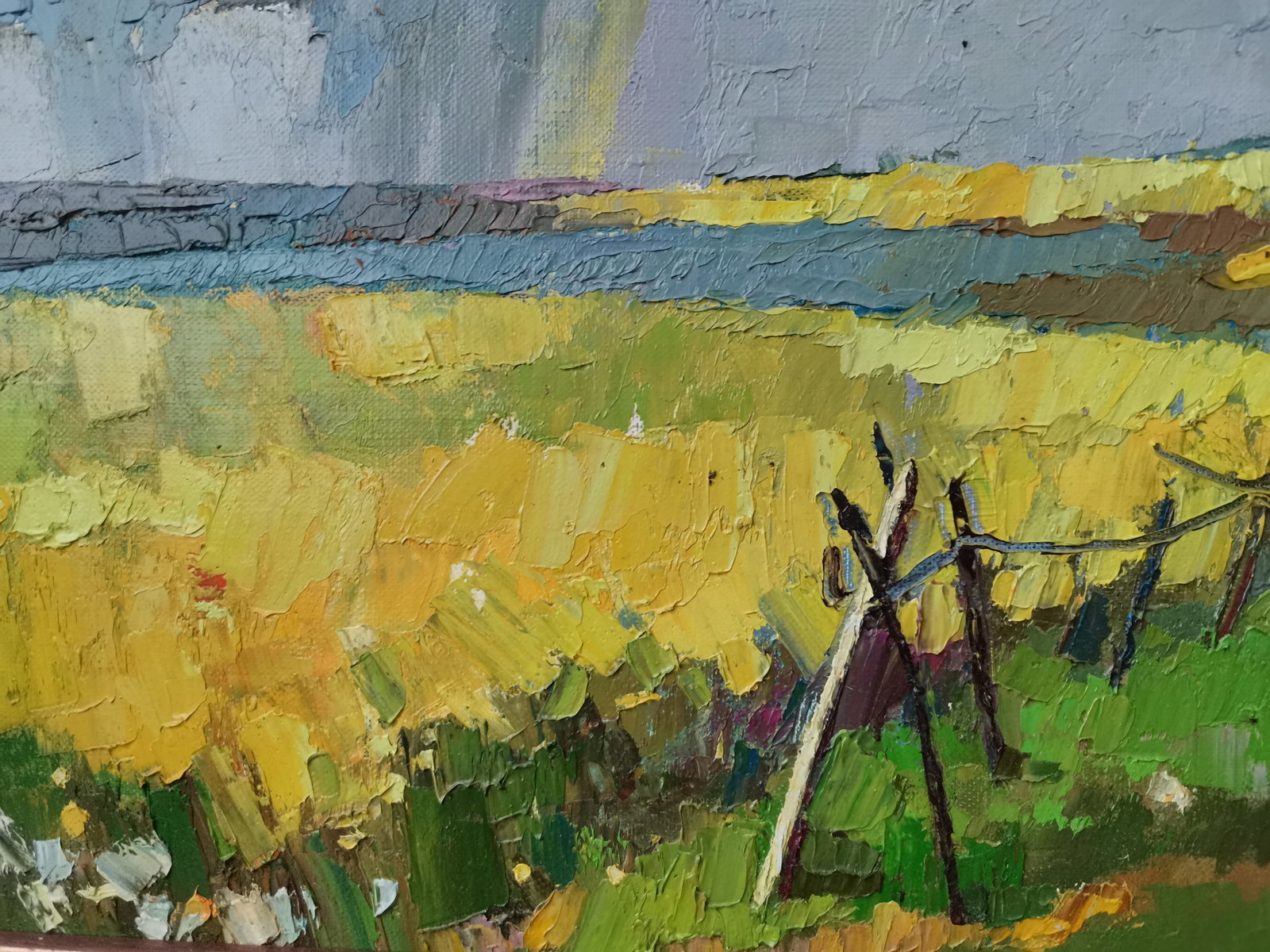 Oil painting Thunderstorm Oksana Kyrylenko - 4