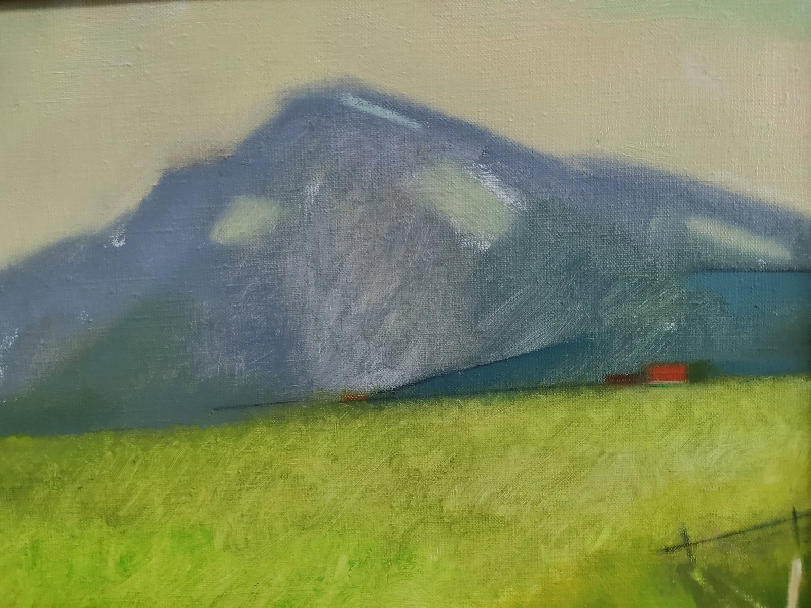 Abstract Oil painting Carpathian guard Oksana Kyrylenko - 7