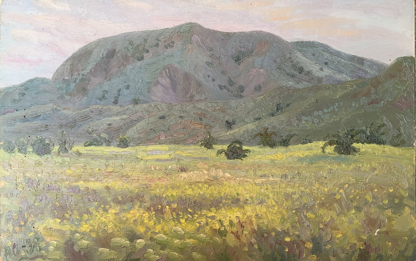 Oil painting Mountain meadow Onyshchenko: Title: Oil painting Mountain meadow Onyshchenko Description: 23ON Painter: Onyshchenko Anatoly Ivanovich Size: 27x41 cm/ 10,63x16,14 inches Components: oil, fiberboard Original painting CONDITION: