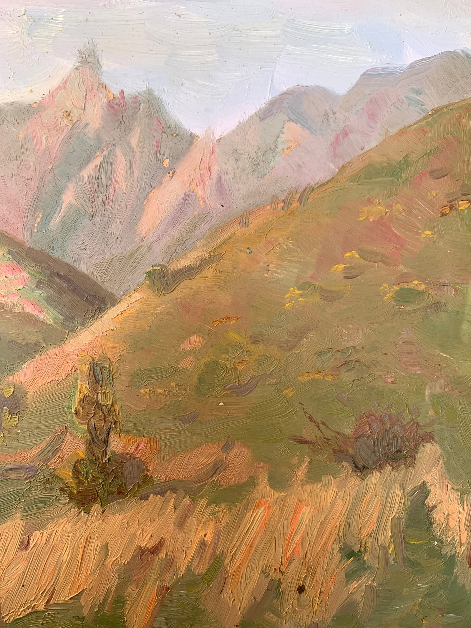 Oil painting Summer in the mountains Onyshchenko - 10