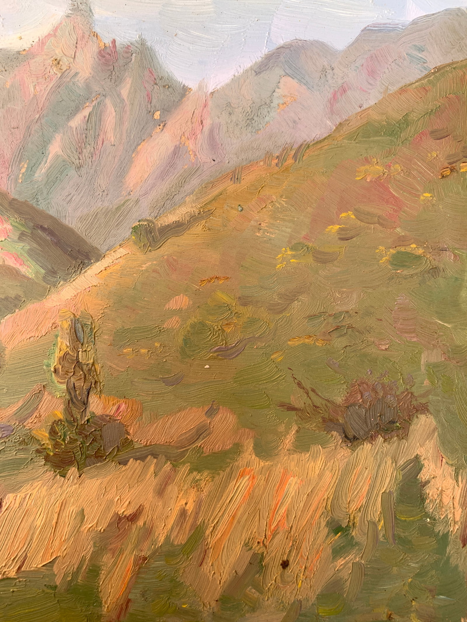 Oil painting Summer in the mountains Onyshchenko - 2