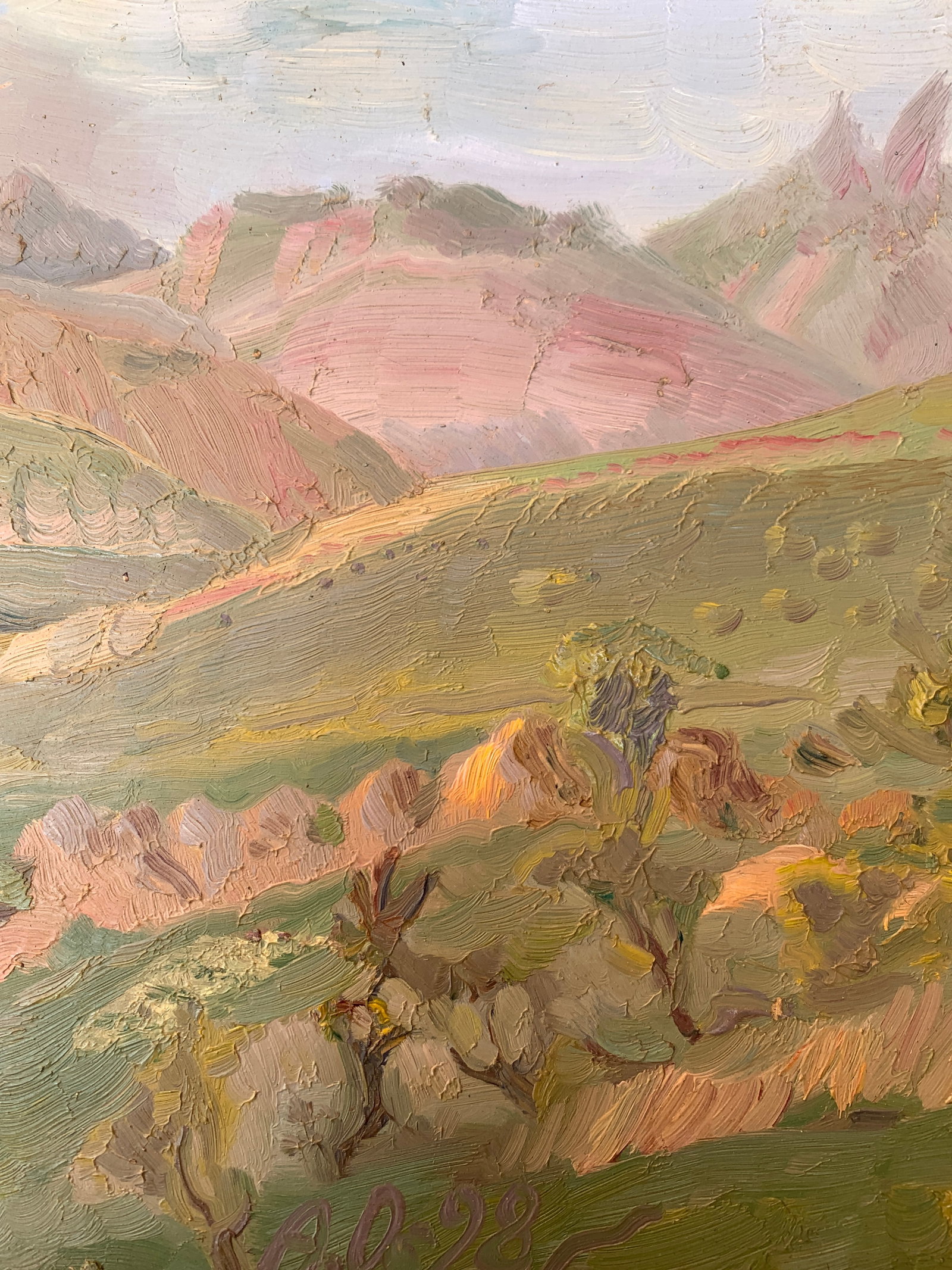 Oil painting Summer in the mountains Onyshchenko - 5