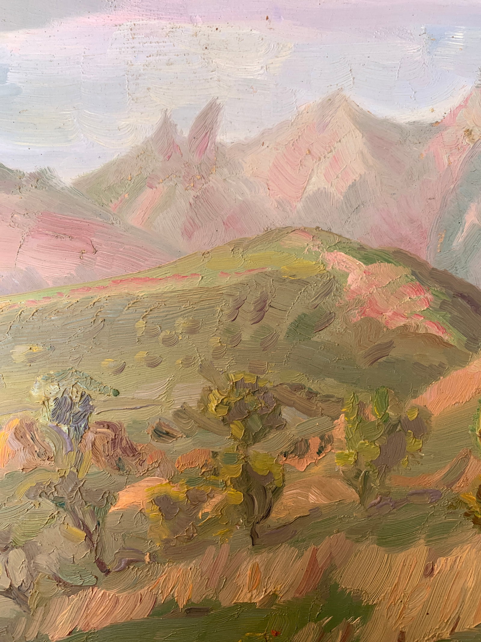 Oil painting Summer in the mountains Onyshchenko - 6