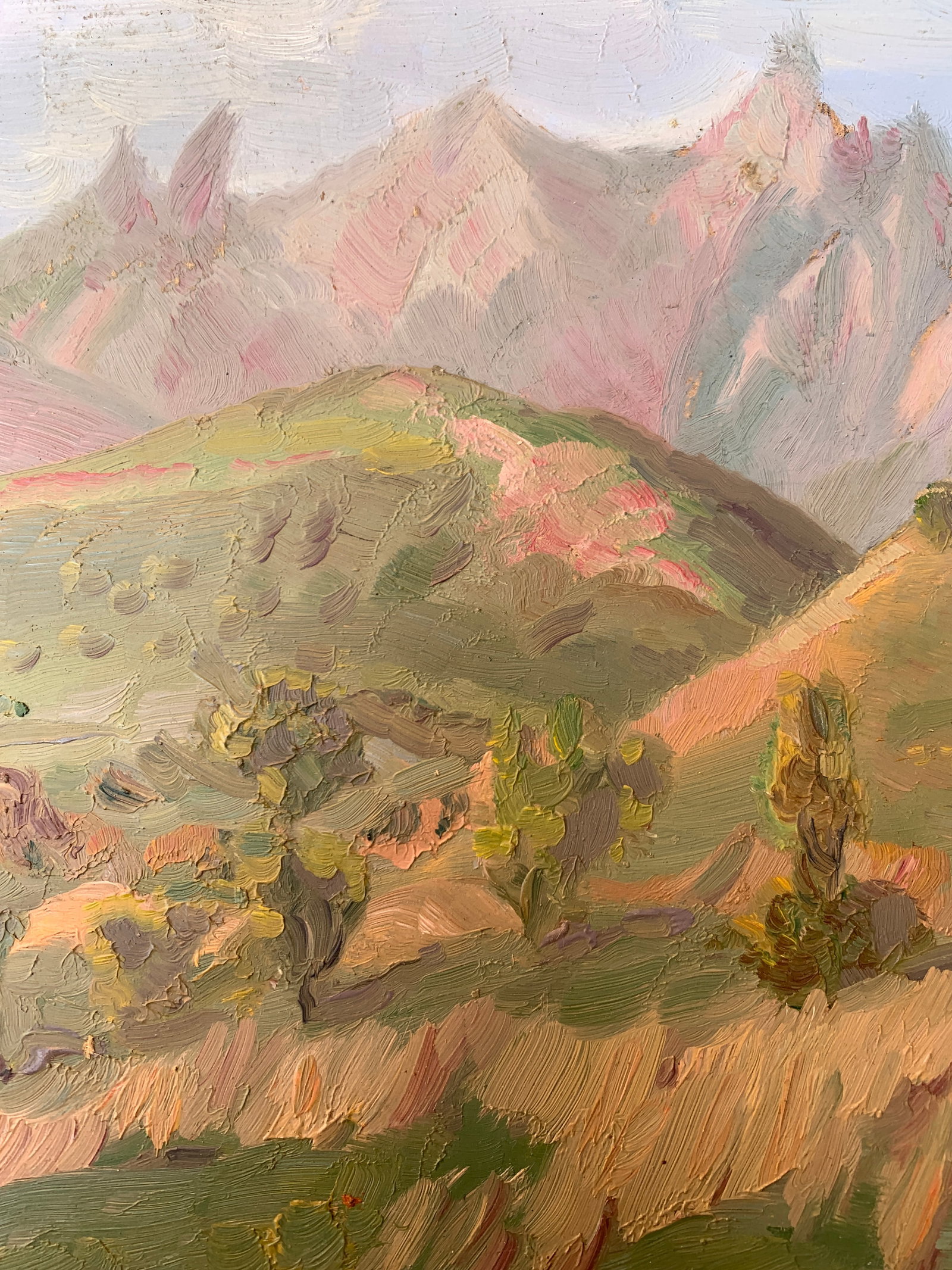 Oil painting Summer in the mountains Onyshchenko - 7