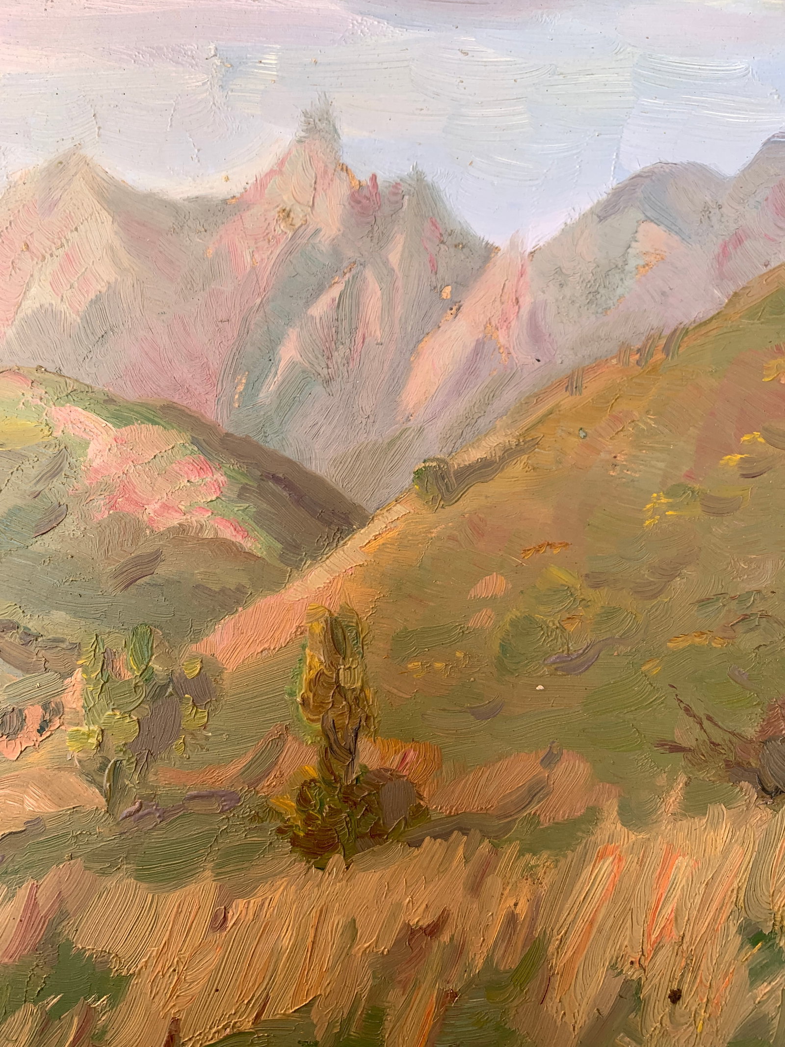 Oil painting Summer in the mountains Onyshchenko - 9