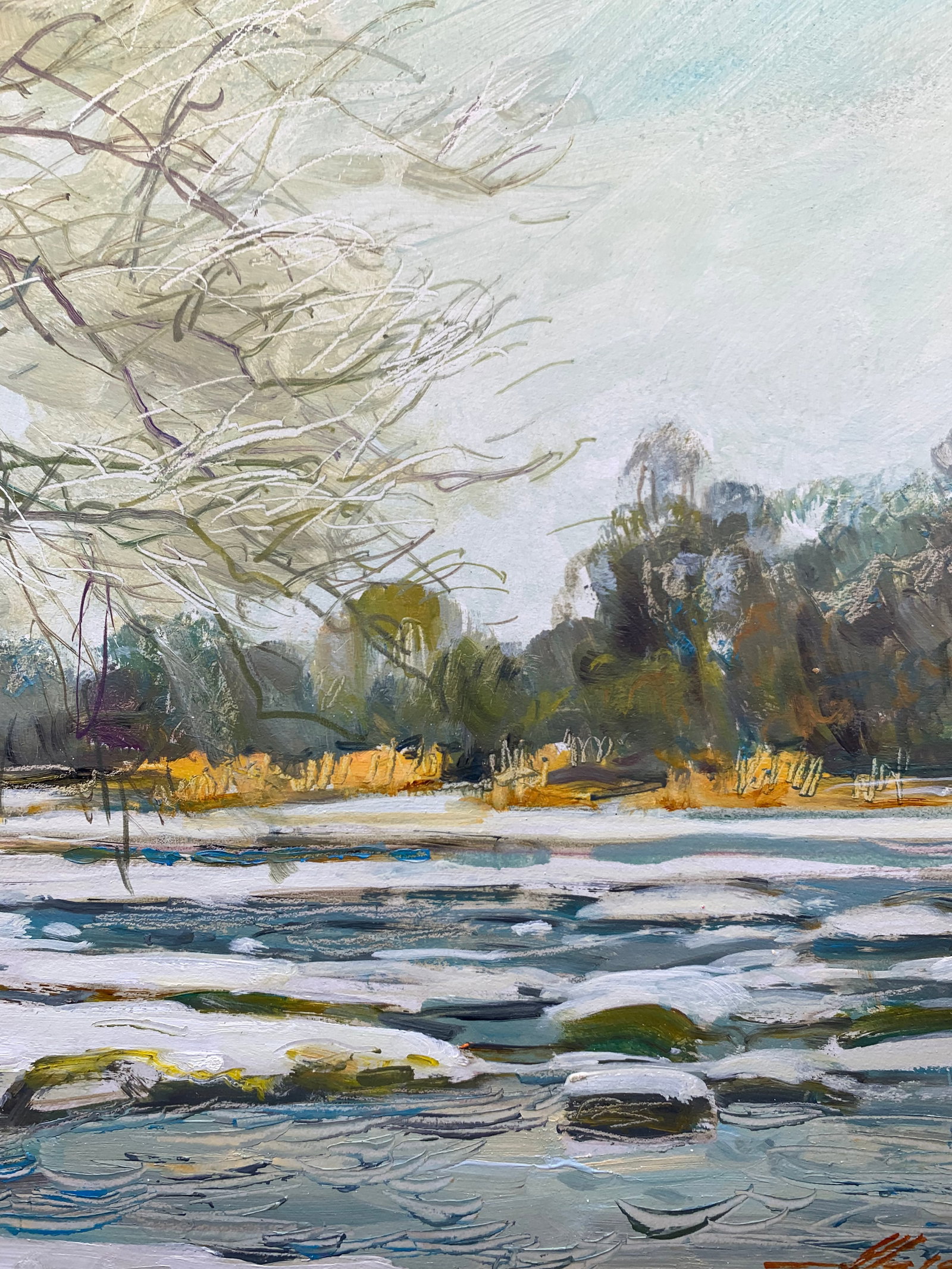 Oil painting Rapids on the Bug River Oleksandr Oleksandrovich Nazarenko - 10